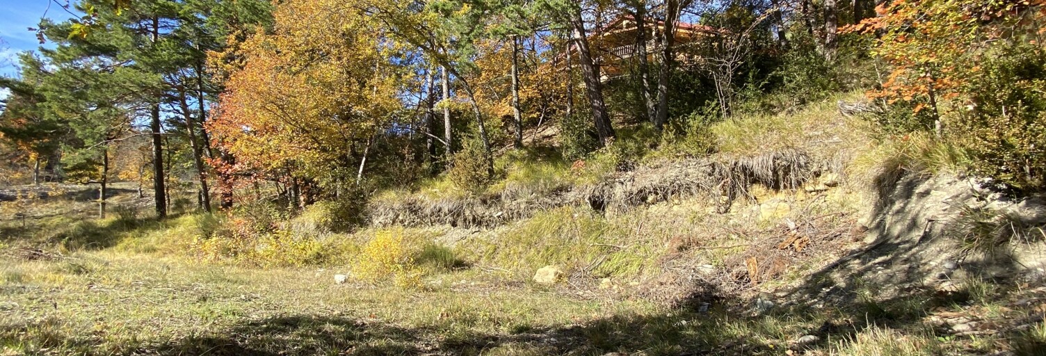 Terrain  1000 m² à vendre à Andon (06750)