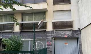 Garage  11 m² à vendre à Paris 17 (75017)