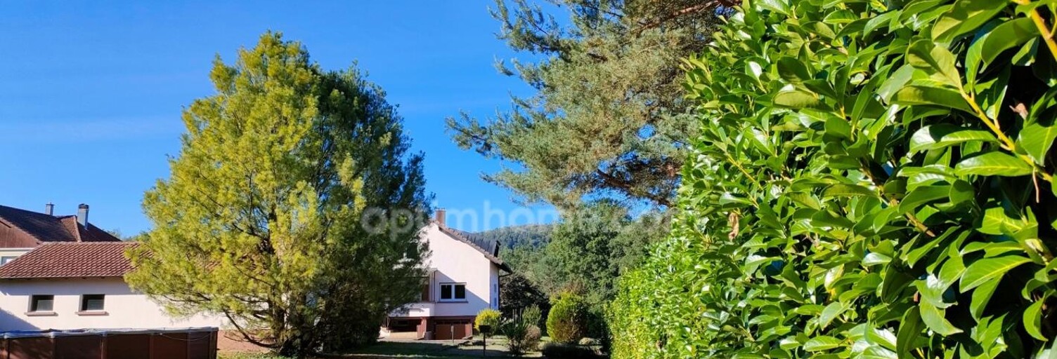 Maison 7 Pièces 199 m² à vendre à Baerenthal (57230)