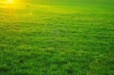 Terrain  185000 €