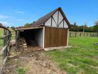 Charmante maison normande à colombages — Bonneville-la-Louvet — photo 4