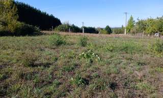 Terrain  1505 m² à vendre à Tocane-Saint-Apre (24350)