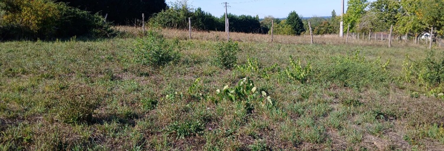 Terrain  1505 m² à vendre à Tocane-Saint-Apre (24350)