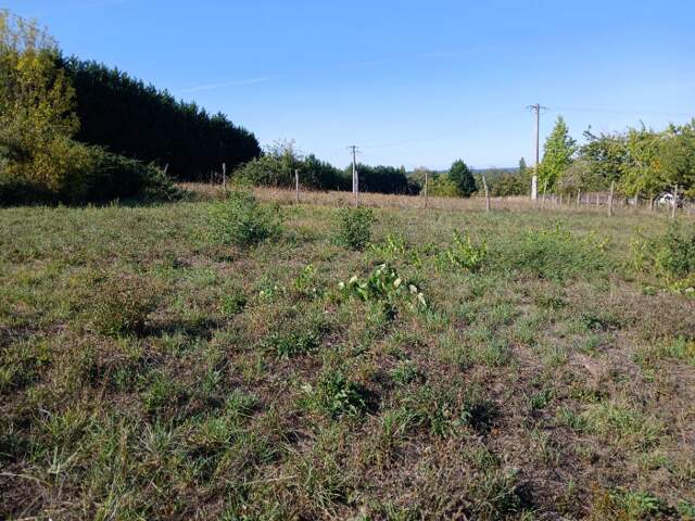 Terrain à bâtir à Tocane-Saint-Apre (24350) — photo du bien