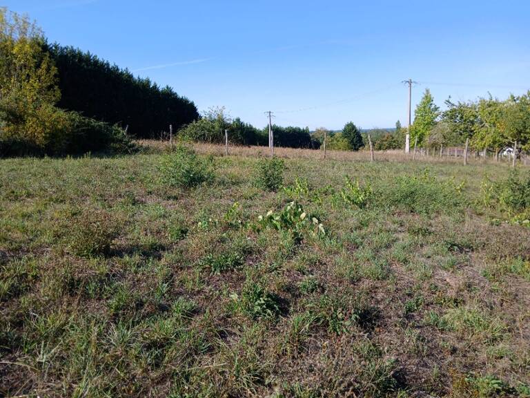 Terrain à bâtir à Tocane-Saint-Apre (24350) — photo 1