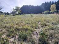 Terrain à bâtir à Tocane-Saint-Apre (24350) — photo 2