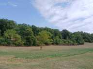 Terrain à bâtir à Saint-Martin-de-Ribérac (24600) — photo 2