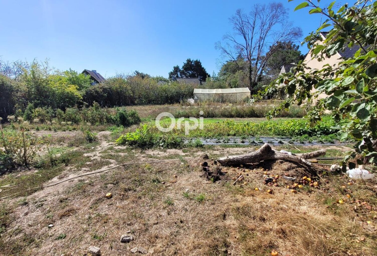 Terrain À Vendre — photo 1