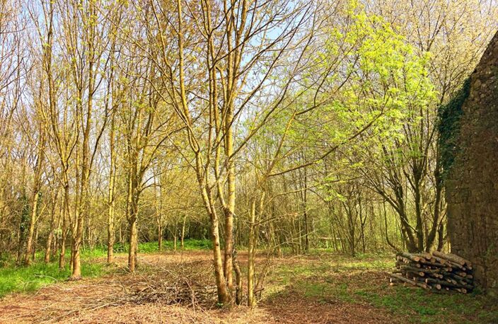 Ancienne grange et dépendances 180m2, sur terrain 2018m2 — photo 2