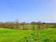 Ancienne grange et dépendances 180m2, sur terrain 2018m2 — photo 3