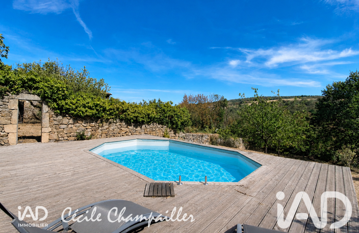 Vente Maison/villa 11 pièces — photo 4