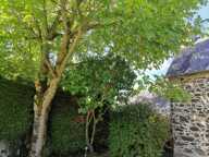 Vente Maison de village 4 pièces — photo 4