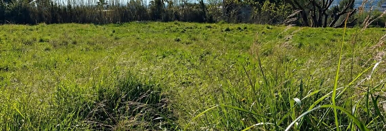 Terrain  739 m² à vendre à Perpignan (66100)