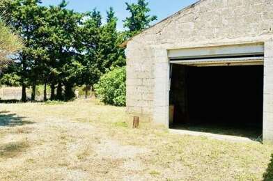 Terrain  100000 €