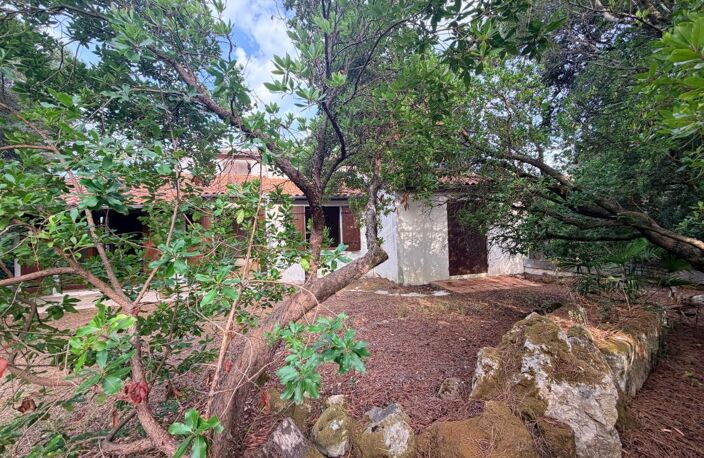 MESCHERS-SUR-GIRONDE – À moins de 500 M DE LA PLAGE – MAISON FAMILIALE AVEC APPARTEMENT INDÉPENDANT — photo 3
