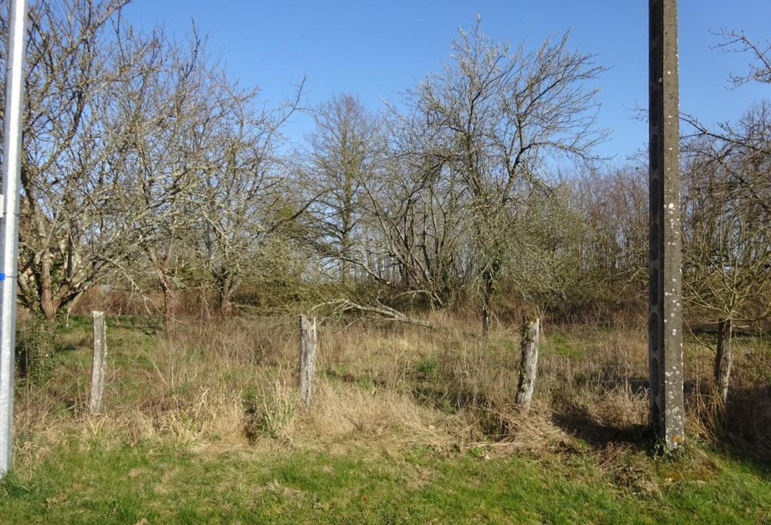 Terrain à vendre de 1 341,00 m² CHUELLES (45) — photo 1
