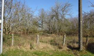 Terrain  1341 m² à vendre à Chuelles (45220)