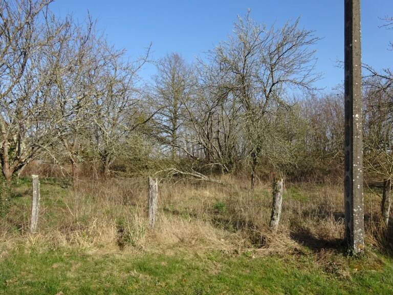 Terrain à vendre de 1 341,00 m² CHUELLES (45) — photo 1