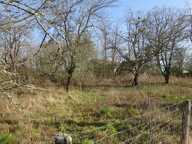 Terrain à vendre de 1 341,00 m² CHUELLES (45) — photo 4