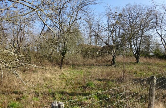 Terrain à vendre de 1 341,00 m² CHUELLES (45) — photo 4