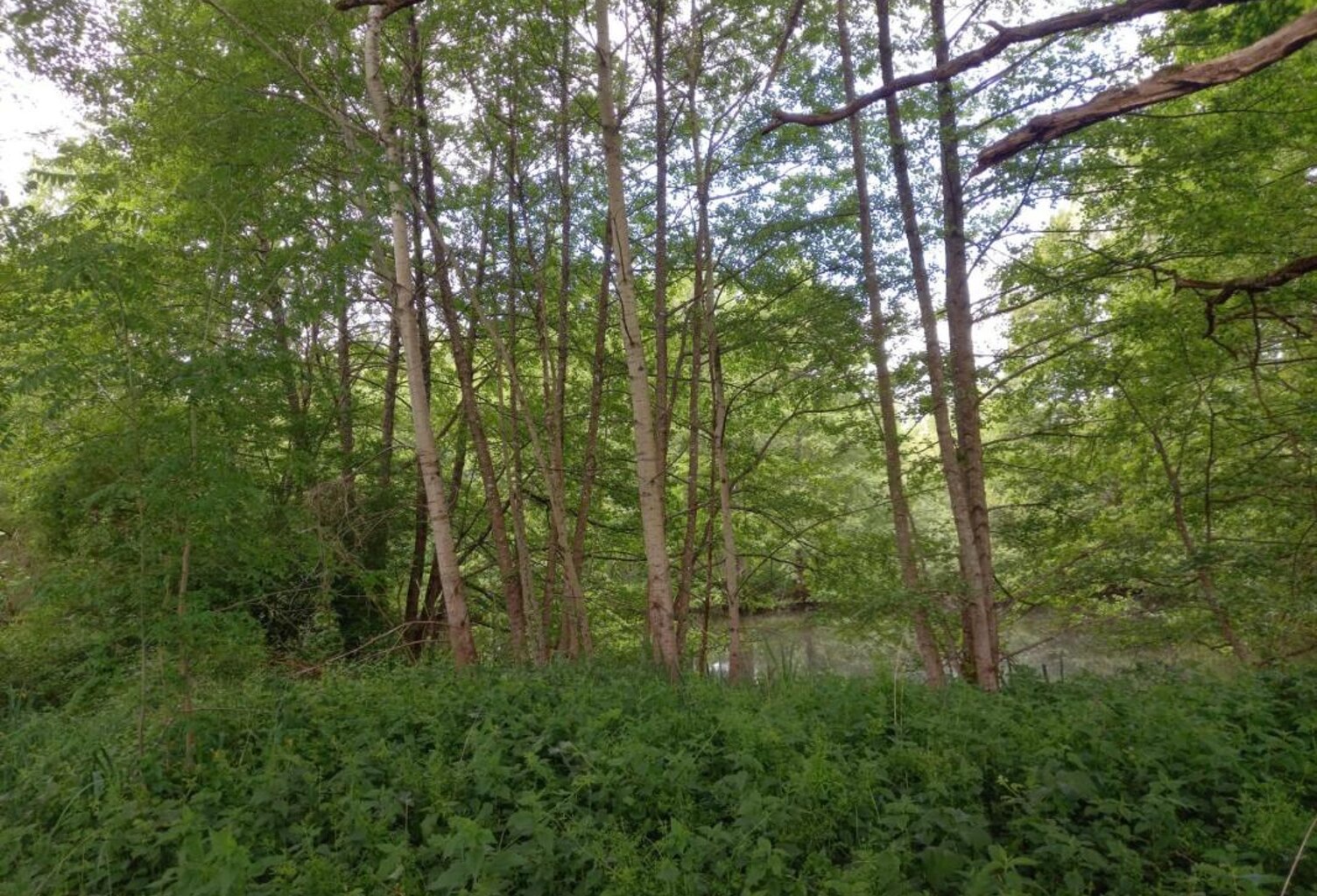Terrain à vendre de 405,00 m² COURTEMAUX (45) — photo 1