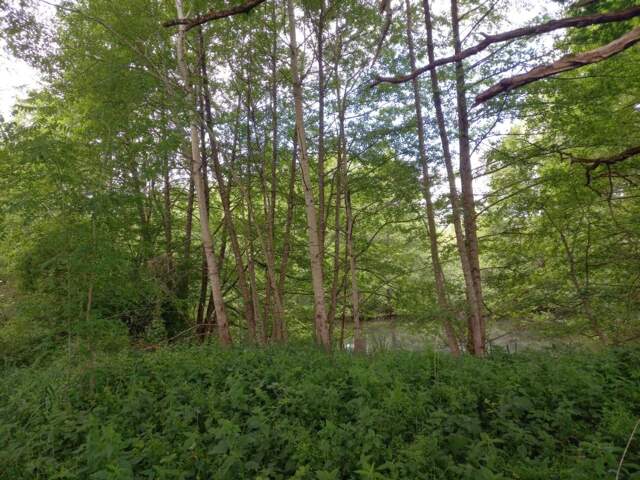 Terrain à vendre de 405,00 m² COURTEMAUX (45) — photo du bien