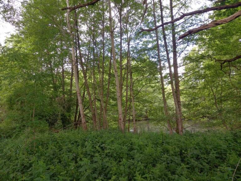 Terrain à vendre de 405,00 m² COURTEMAUX (45) — photo 1