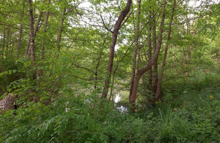 Terrain à vendre de 405,00 m² COURTEMAUX (45) — photo 2
