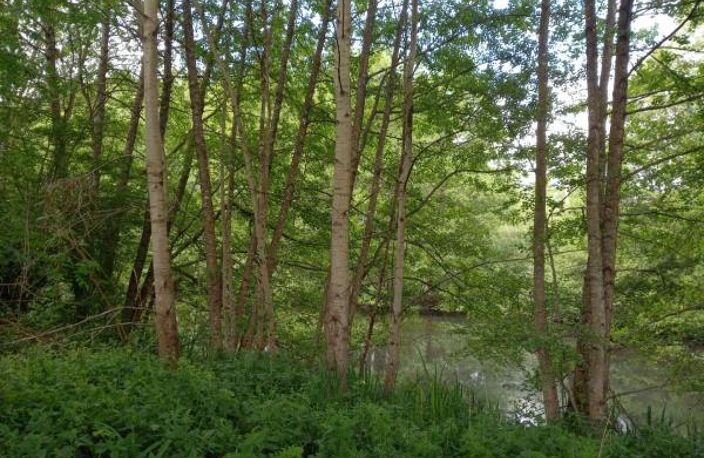 Terrain à vendre de 405,00 m² COURTEMAUX (45) — photo 3