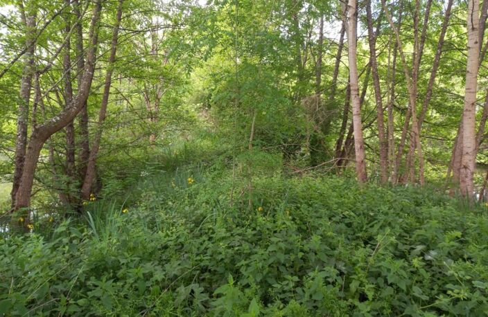 Terrain à vendre de 405,00 m² COURTEMAUX (45) — photo 4