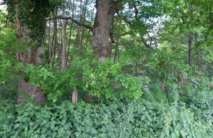 Terrain à vendre de 405,00 m² COURTEMAUX (45) — photo 5