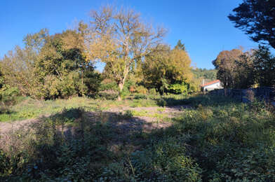 Terrain  118500 €