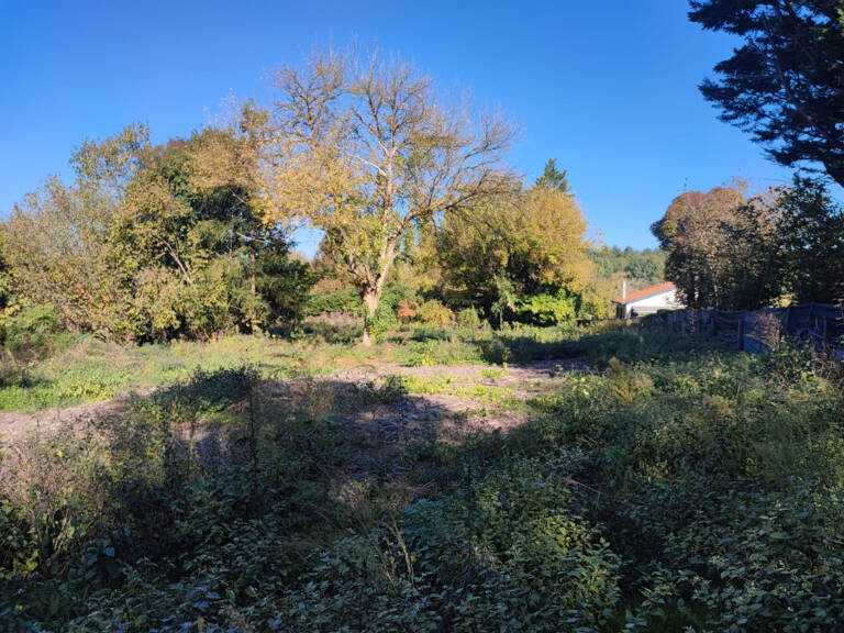 Terrain à bâtir à Camarsac (33750) — photo 1