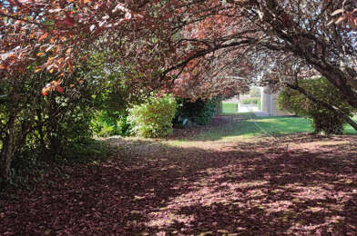 Terrain  136500 €
