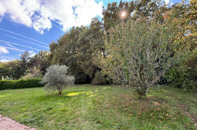 Terrain  135000 €