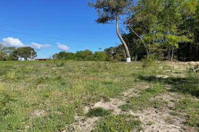 Terrain  120000 €