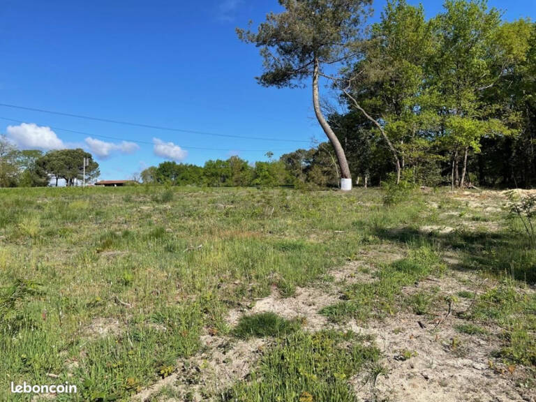 Terrain à bâtir à Targon (33760) — photo 1