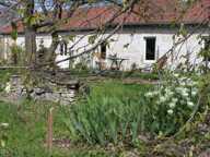 Maison de 62m2 à louer sur Flagey-Echézeaux — photo 2
