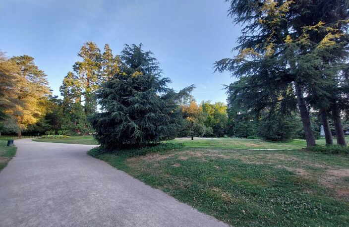 Chambre de 17m2 à louer sur Tours — photo 4