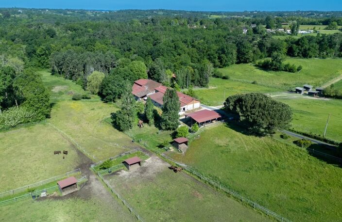 Dpt Dordogne (24), à vendre BERGERAC propriété P7 - terrain de 87000 m2 — photo 5
