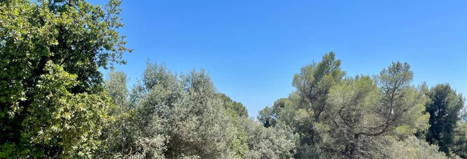 Appartement 4 Pièces 82 m² à vendre à Toulon (83200)