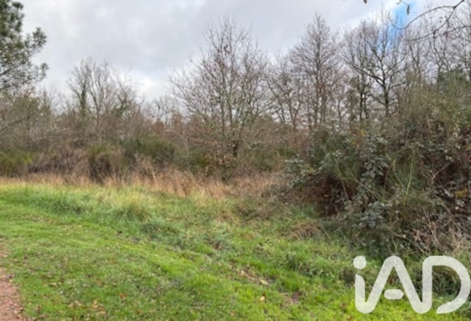 Vente Terrain à bâtir 2 445 m&sup2; — photo 1