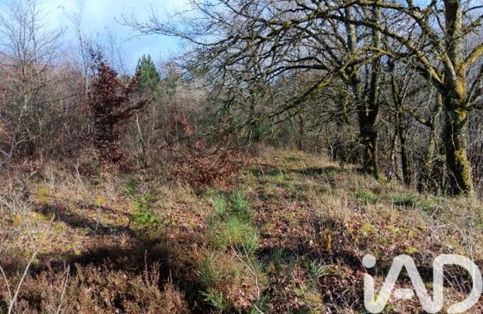 Vente Terrain à bâtir 5 659 m&sup2; — photo 3