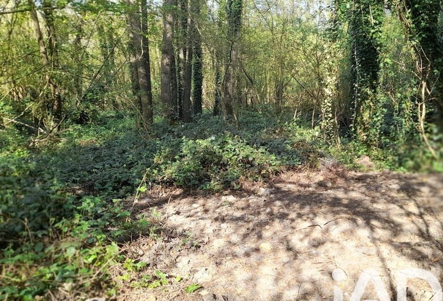 Vente Terrain 2 653 m&sup2; — photo 1