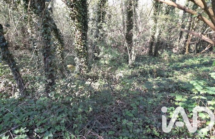 Vente Terrain 2 653 m&sup2; — photo 3