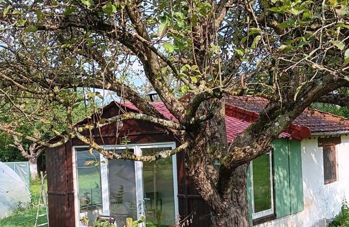 À vendre : maison de caractère avec B&B près d’Autun — photo 4