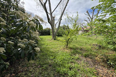 Terrain  146000 €