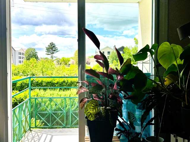 Vente Appartement 4 pièces — photo du bien