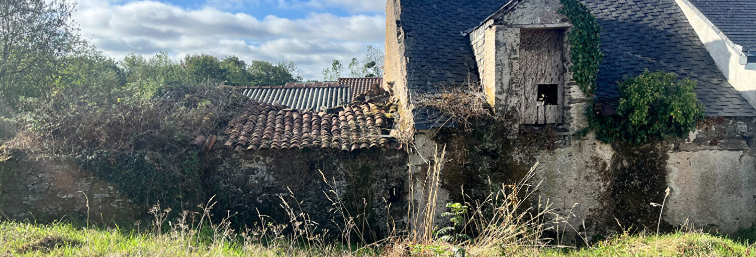Maison 3 Pièces 70 m² à vendre à Couffé (44521)