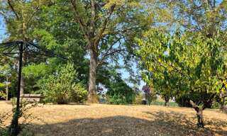 Terrain  6437 m² à vendre à Nègrepelisse (82800)